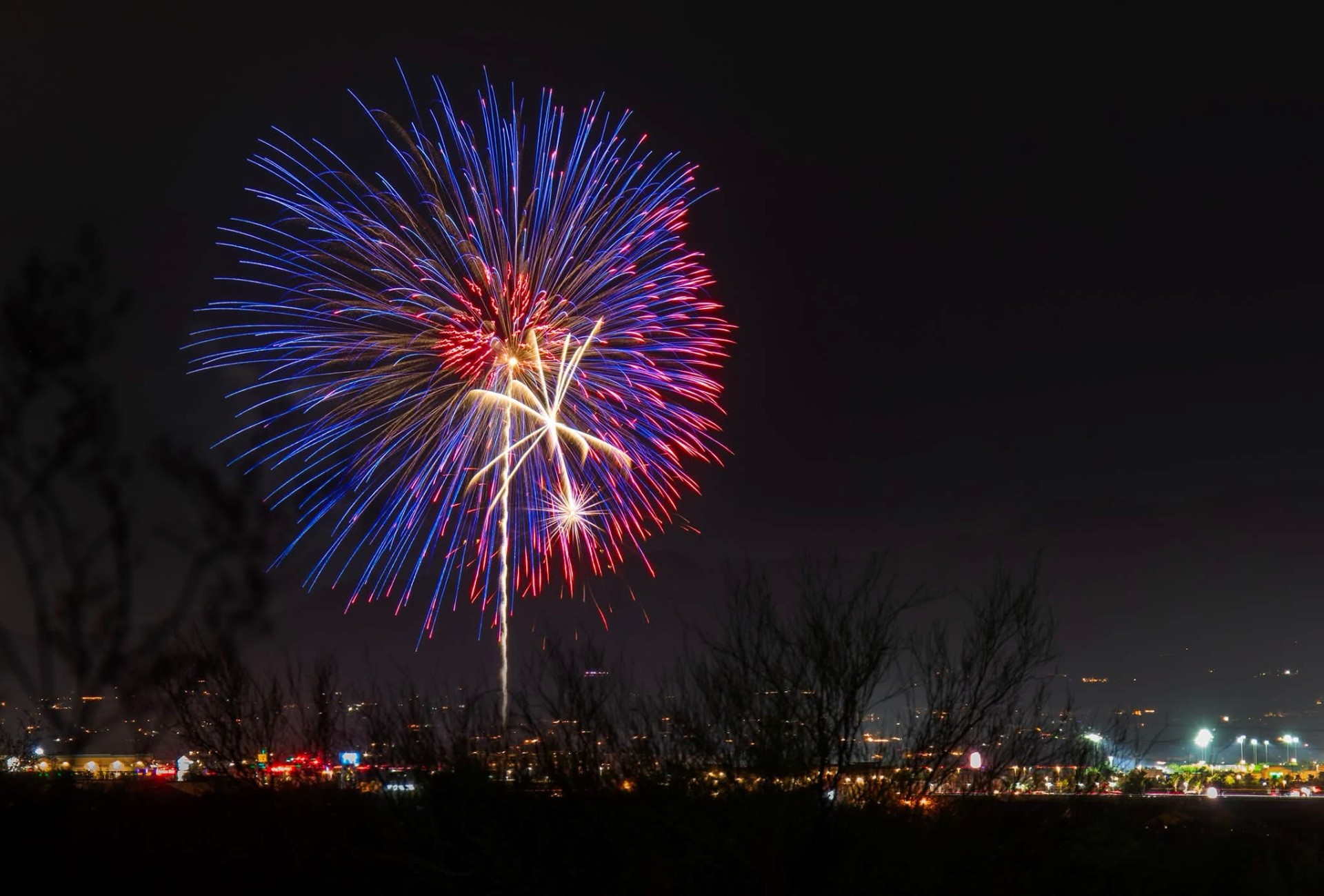 Patriotic aerial shell — municipal display Large red, white, and blue aerial fireworks shell bursting above a city skyline at night